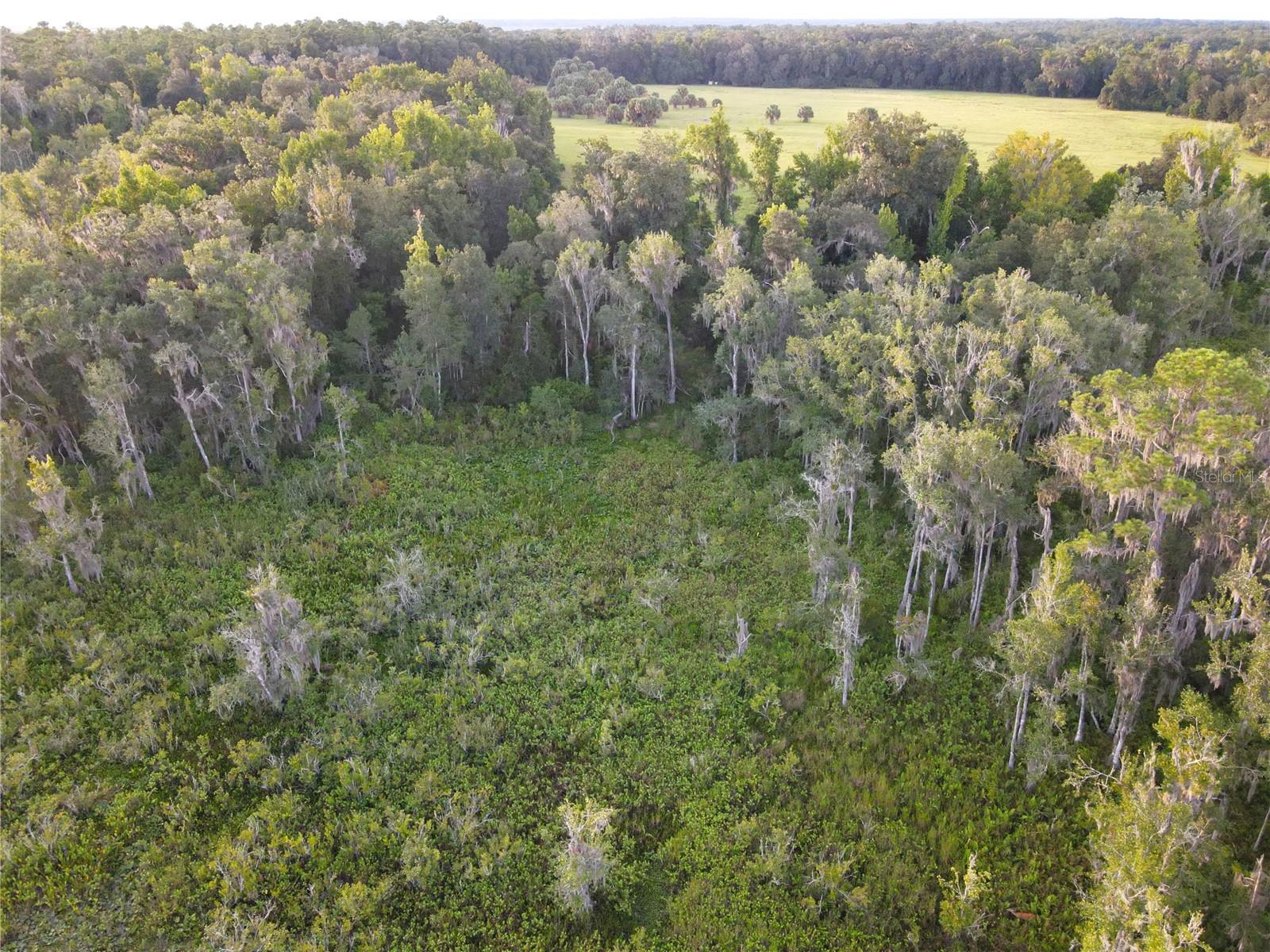 Image 92 of 94 For 11816 County Road 234