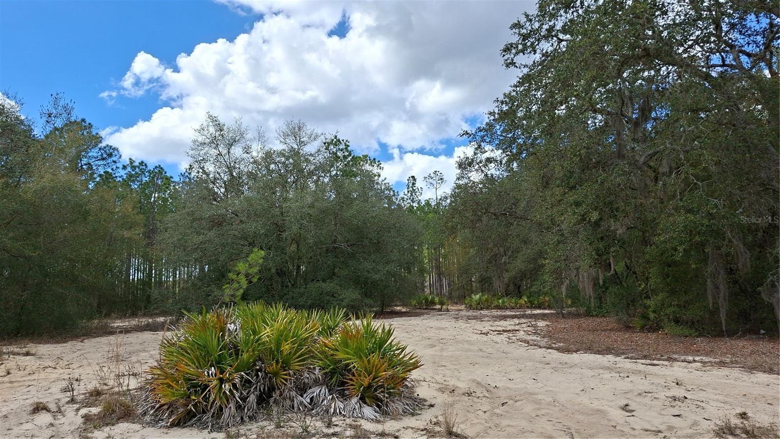 Details for  Fisher Way  , OCKLAWAHA, FL 32179