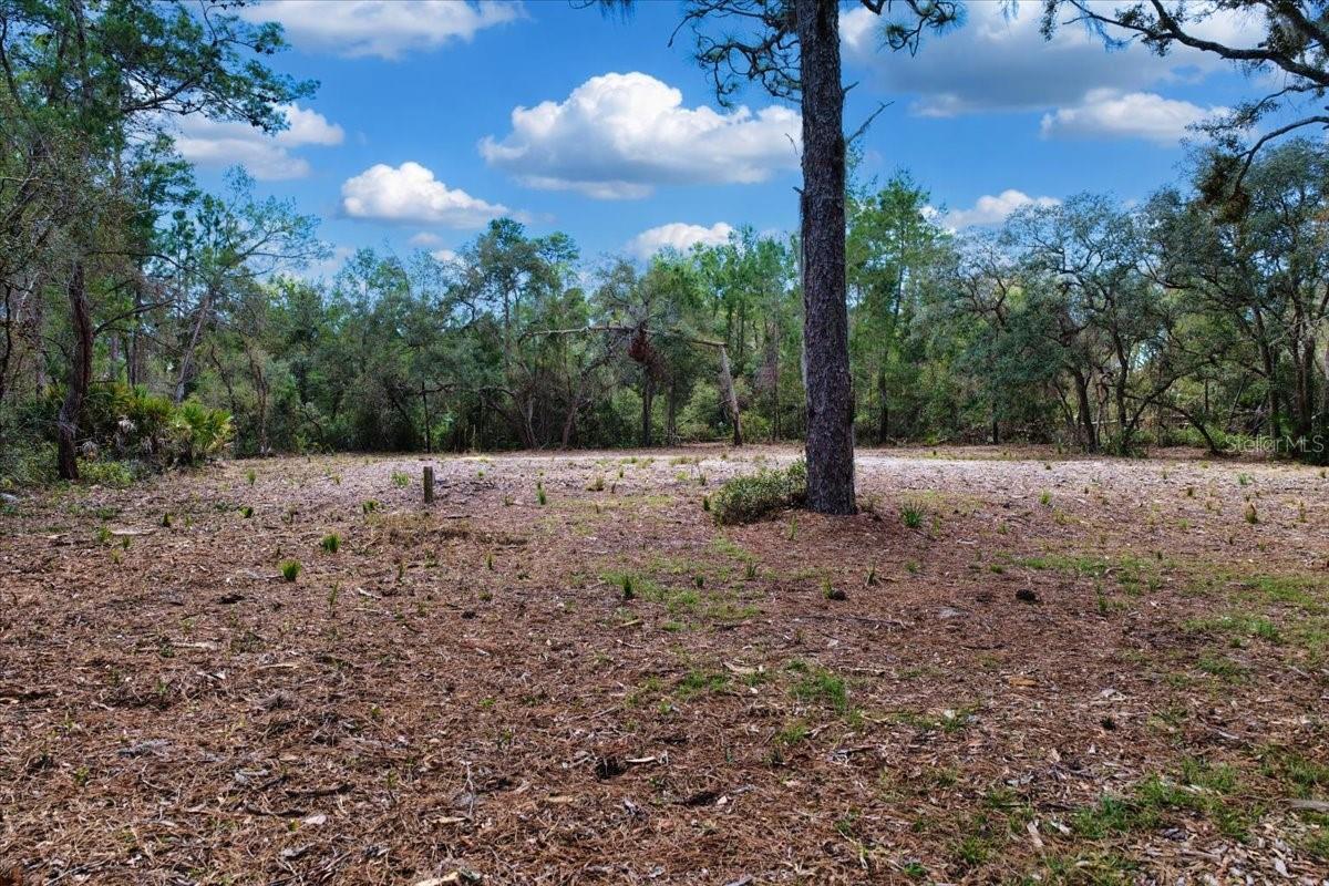 Image 8 of 38 For Tbd 000 123rd Terrace