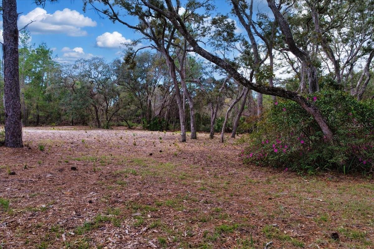 Image 9 of 38 For Tbd 000 123rd Terrace