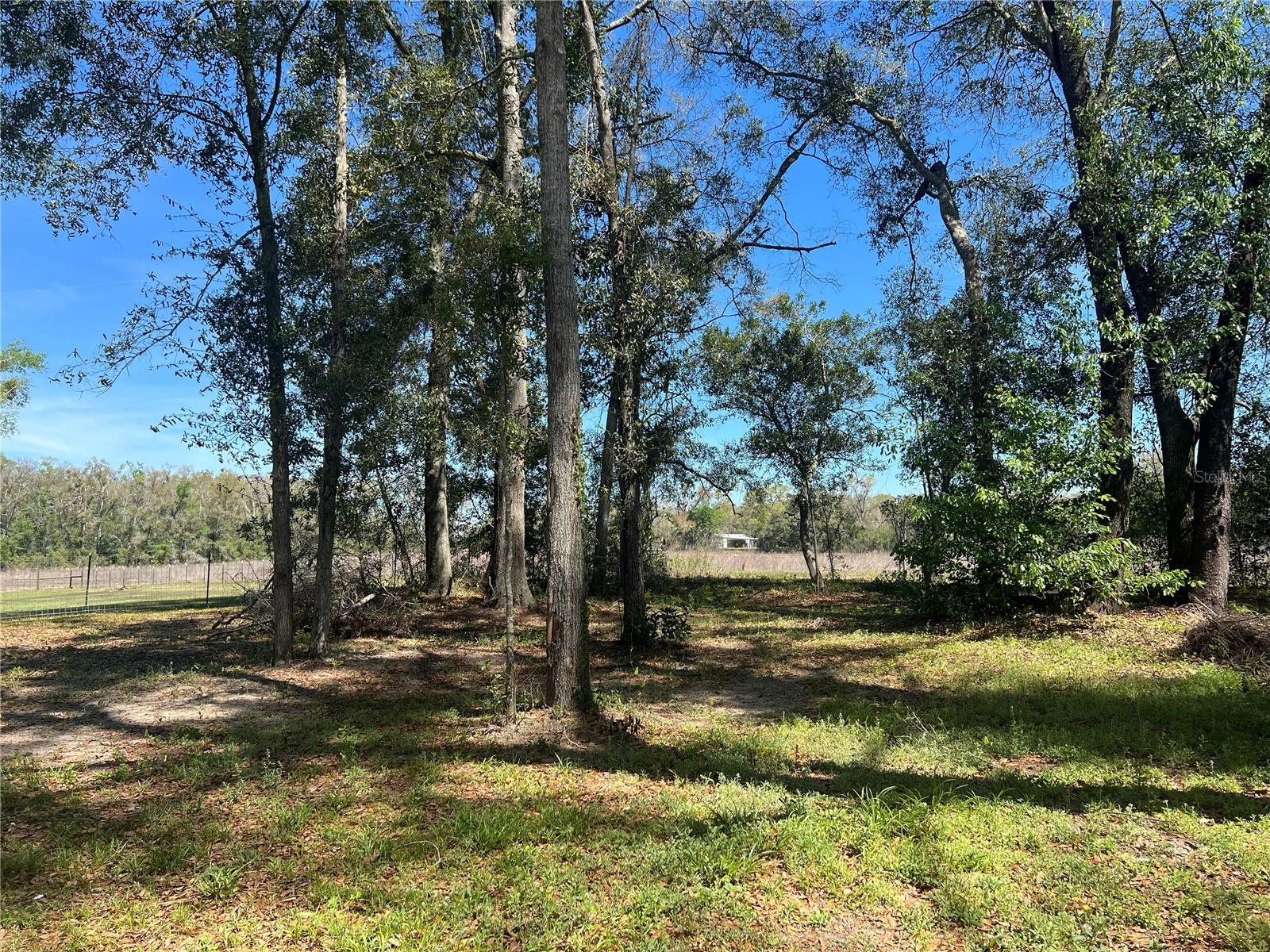 Image 10 of 37 For 10304 25th Court