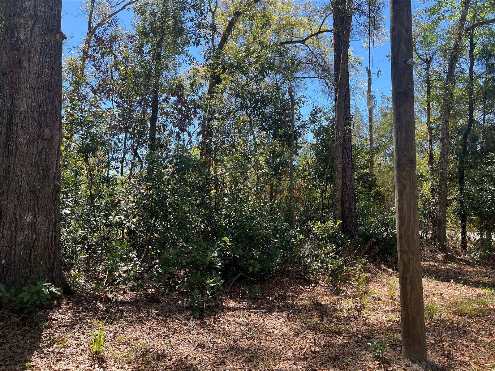 Image 32 of 37 For 10304 25th Court