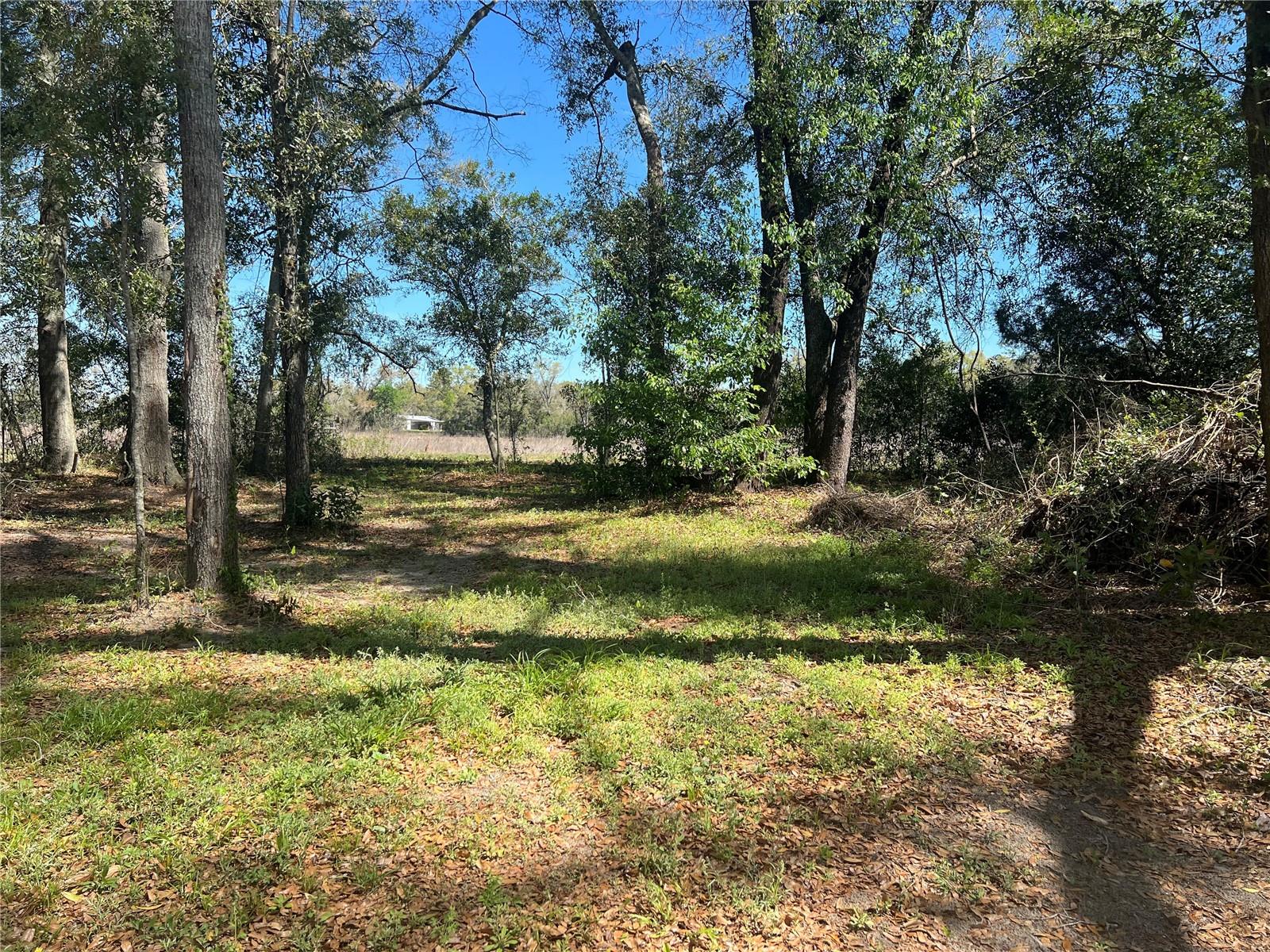 Image 7 of 37 For 10304 25th Court