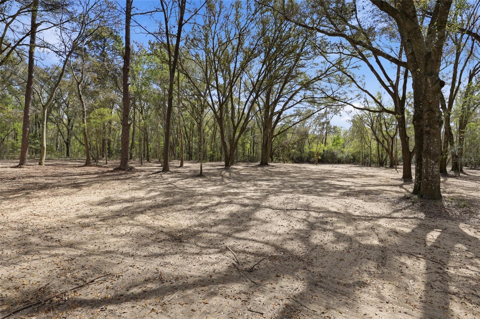 Image 35 of 37 For 8469 71st Street