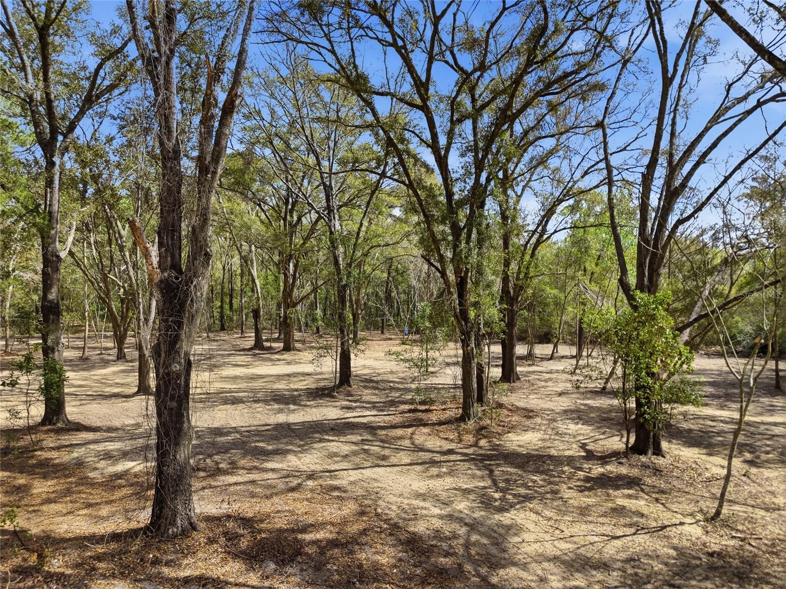 Image 36 of 37 For 8469 71st Street