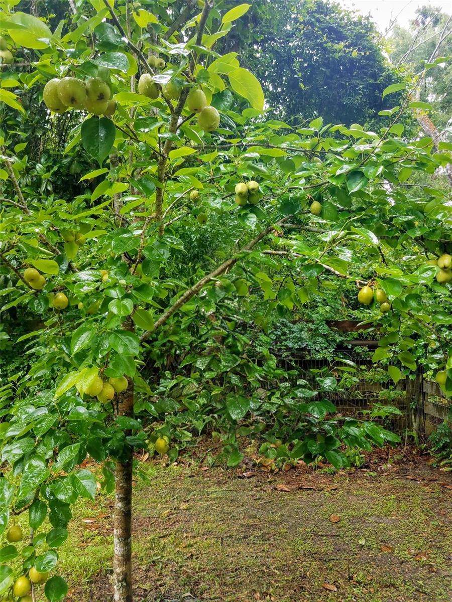 Image 42 of 53 For 12182 State Road 45