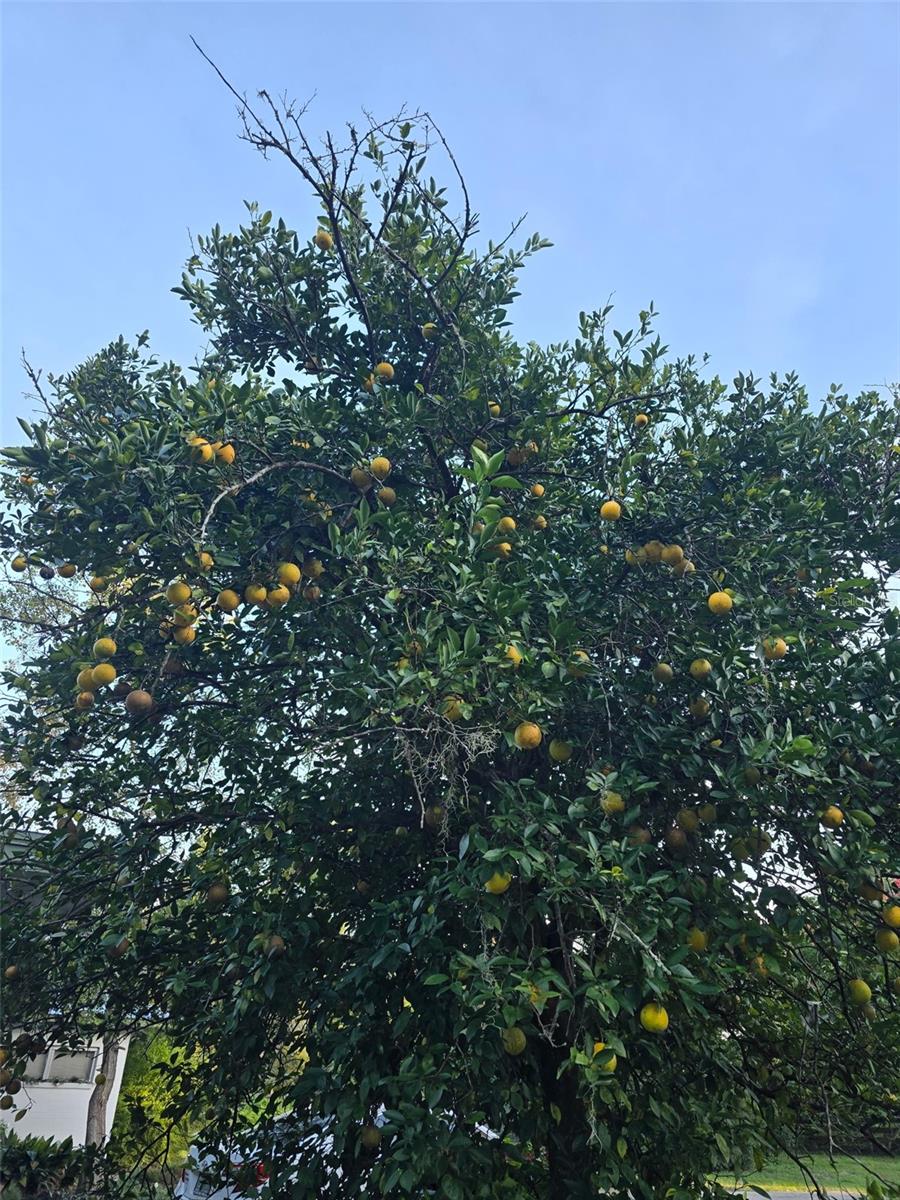 Image 45 of 53 For 12182 State Road 45