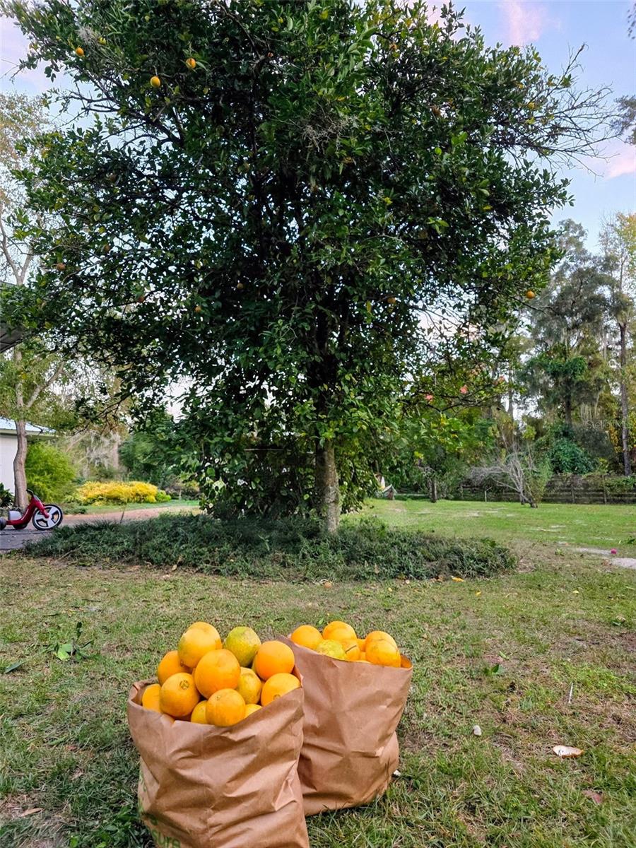 Image 46 of 53 For 12182 State Road 45