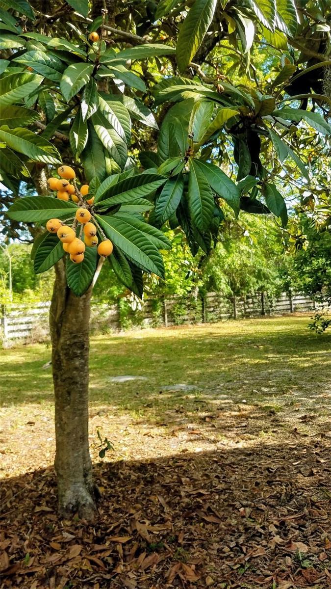 Image 50 of 53 For 12182 State Road 45