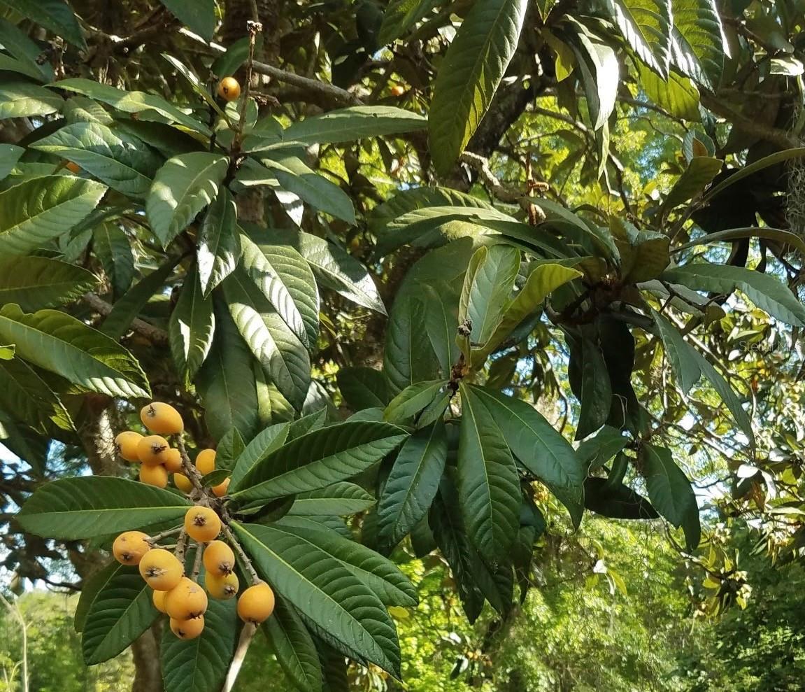 Image 51 of 53 For 12182 State Road 45