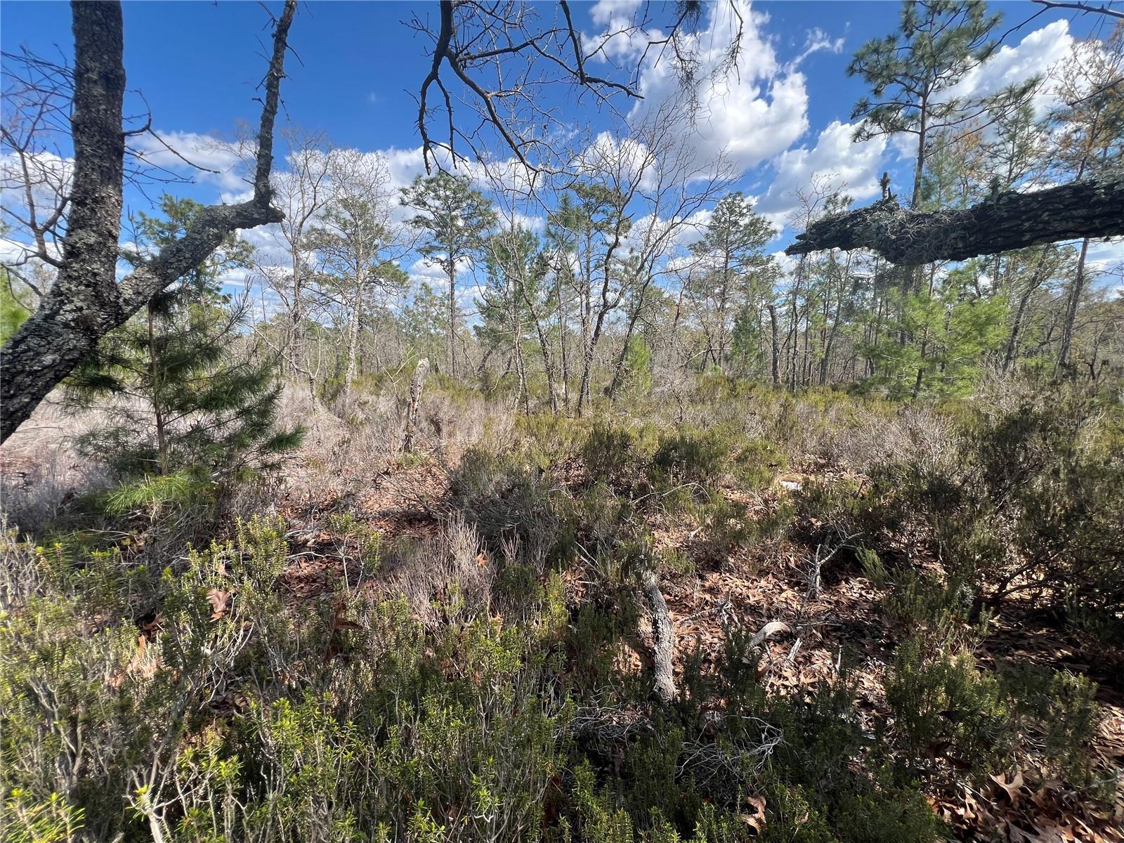 Details for 131 Quail Way, HAWTHORNE, FL 32640