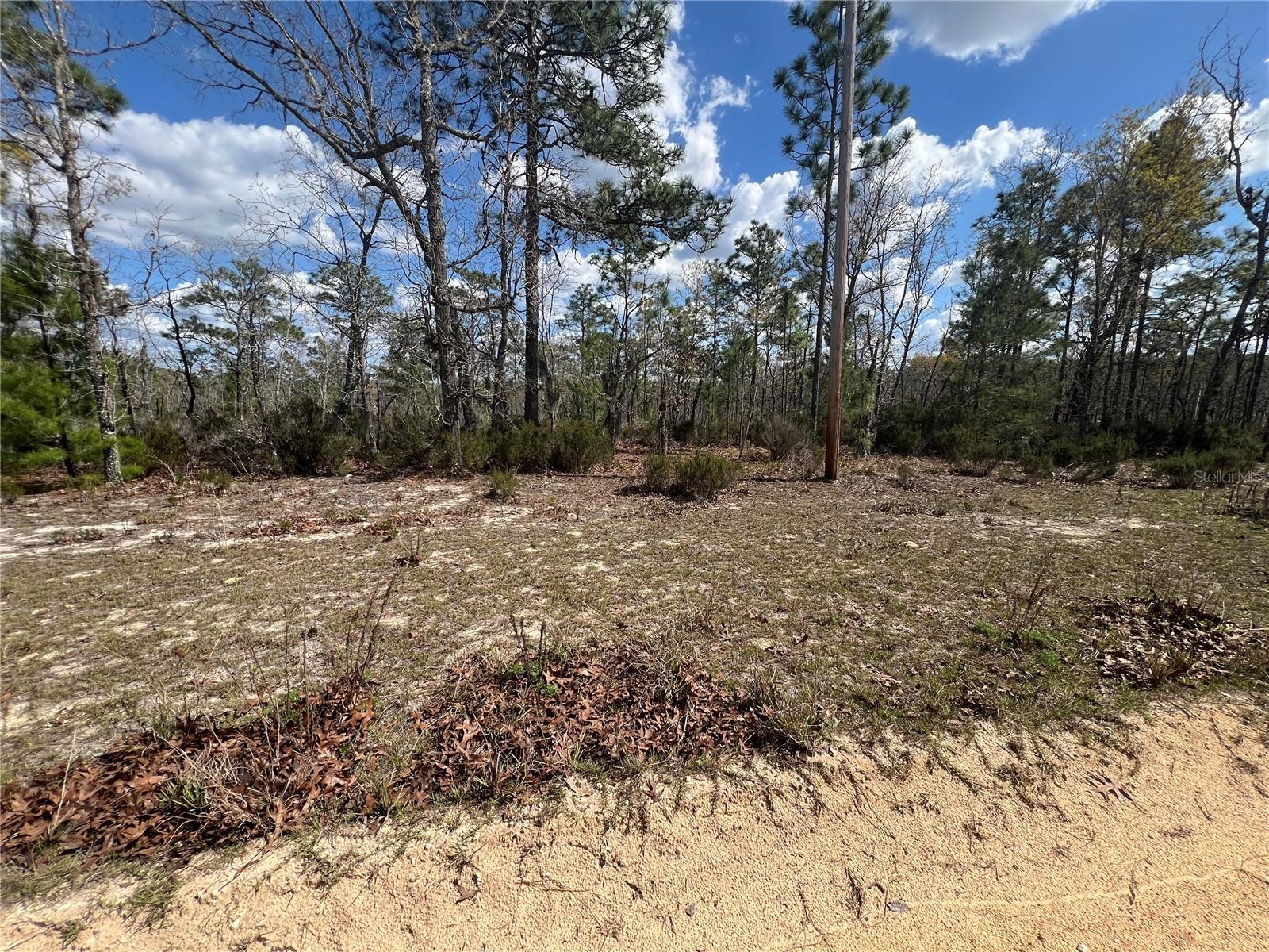 Image 6 of 7 For 131 Quail Way