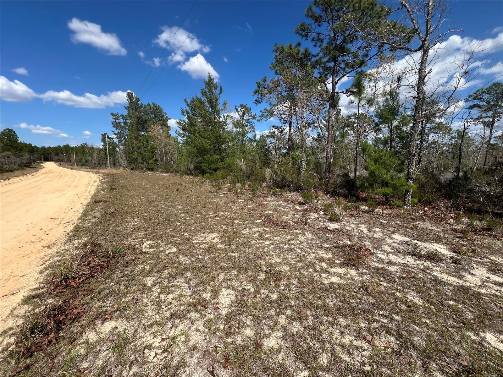 Image 7 of 7 For 131 Quail Way