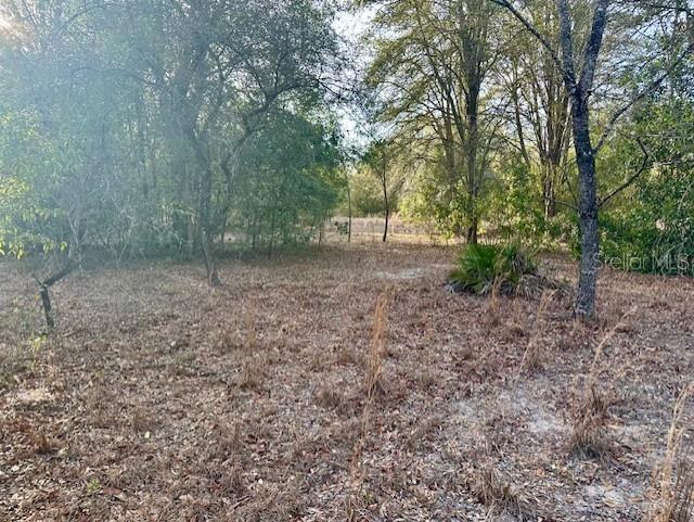 Details for  5th Avenue , BRANFORD, FL 32008