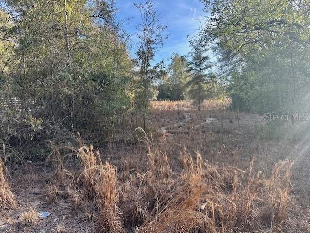 Image 4 of 5 For  5th Avenue 