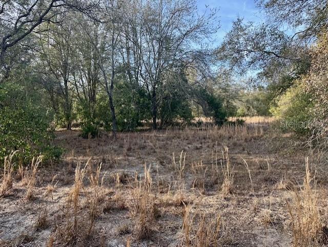 Image 5 of 5 For  5th Avenue 