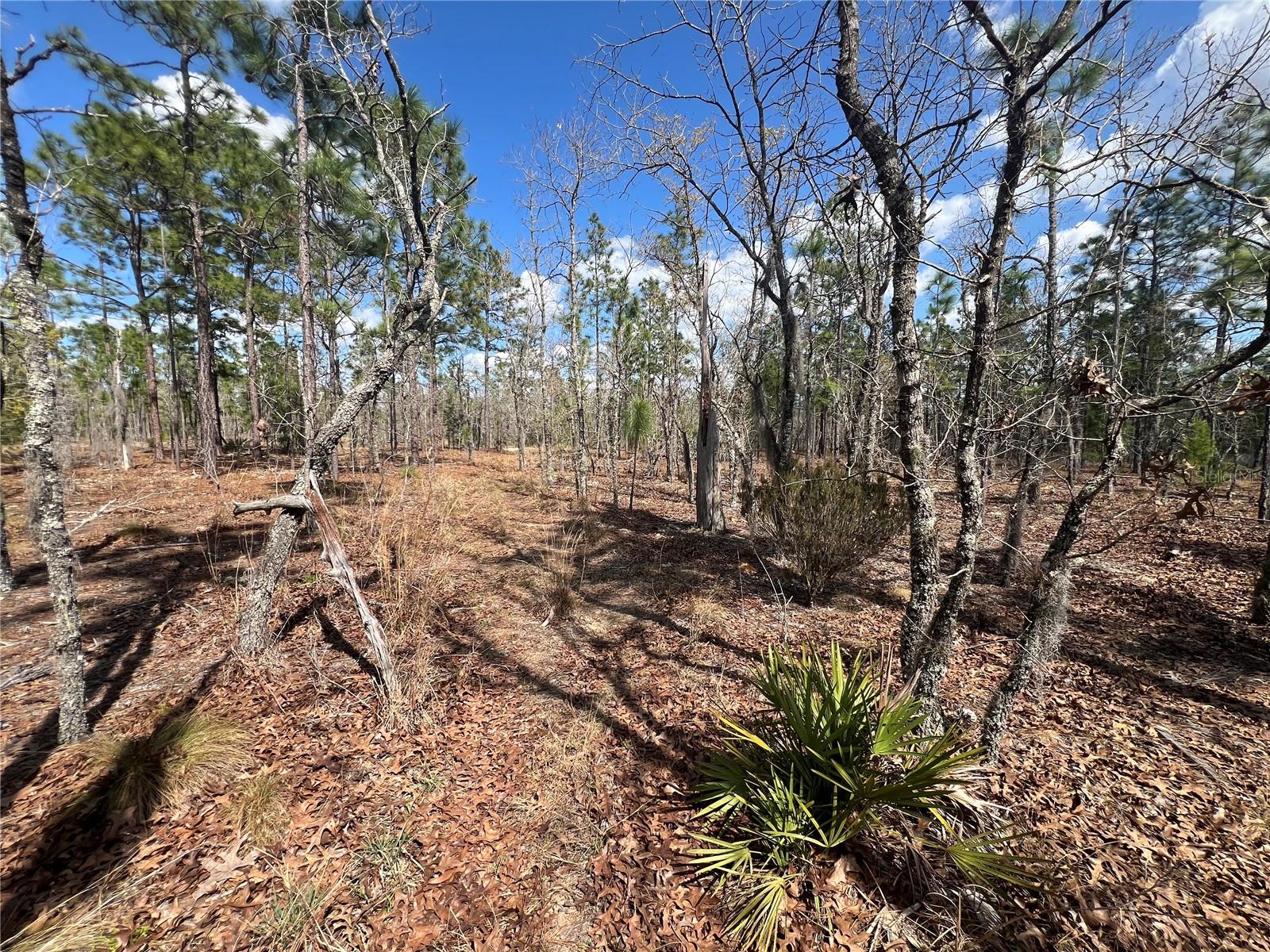 Details for 143 Quail Way, HAWTHORNE, FL 32640