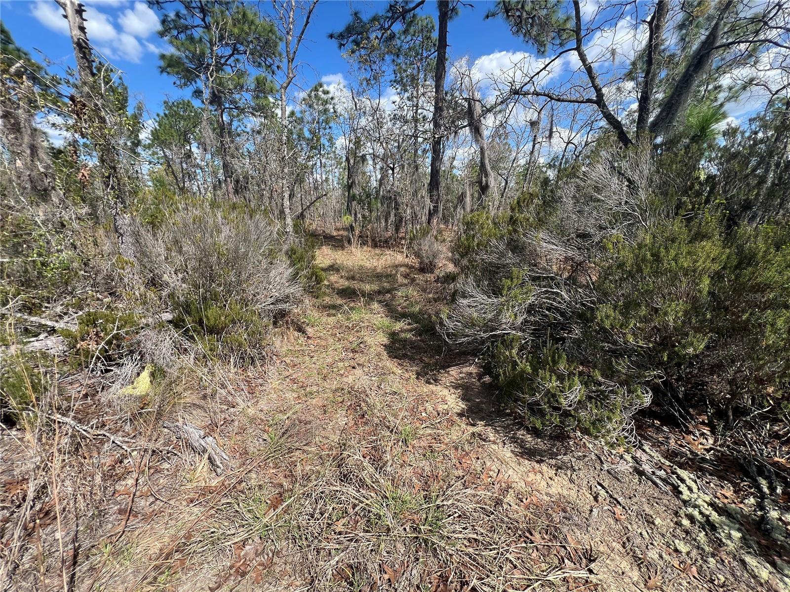 Image 8 of 8 For 143 Quail Way