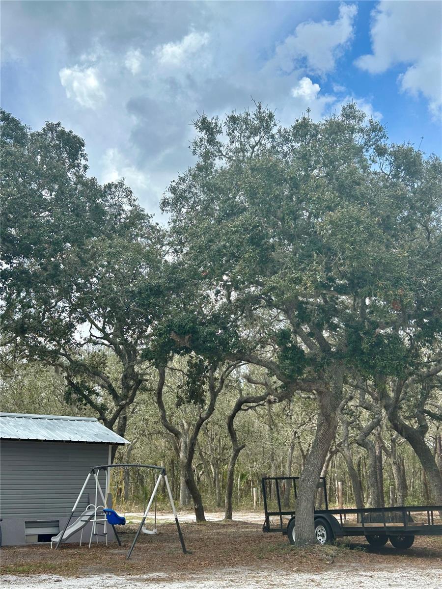 Image 3 of 23 For 1150 115 Ave