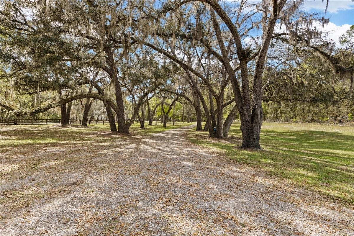 Image 62 of 100 For 2600 48th Avenue