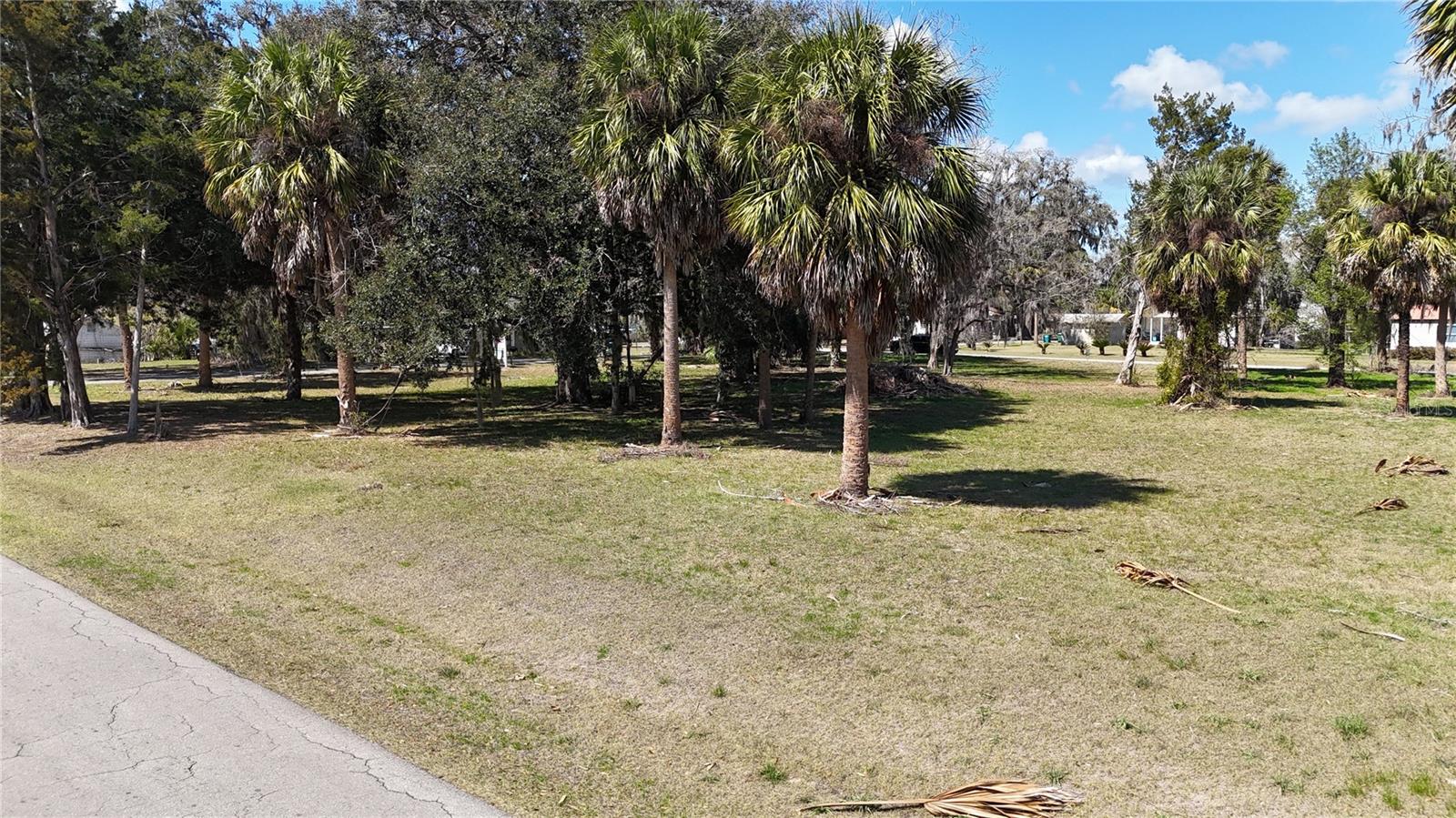 Image 17 of 24 For Tbd Houston Avenue