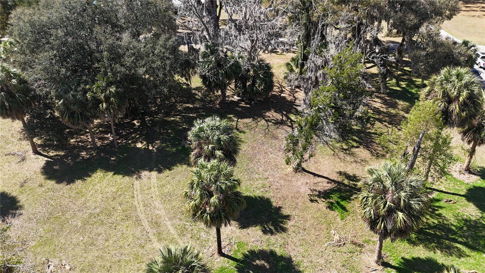 Image 21 of 24 For Tbd Houston Avenue