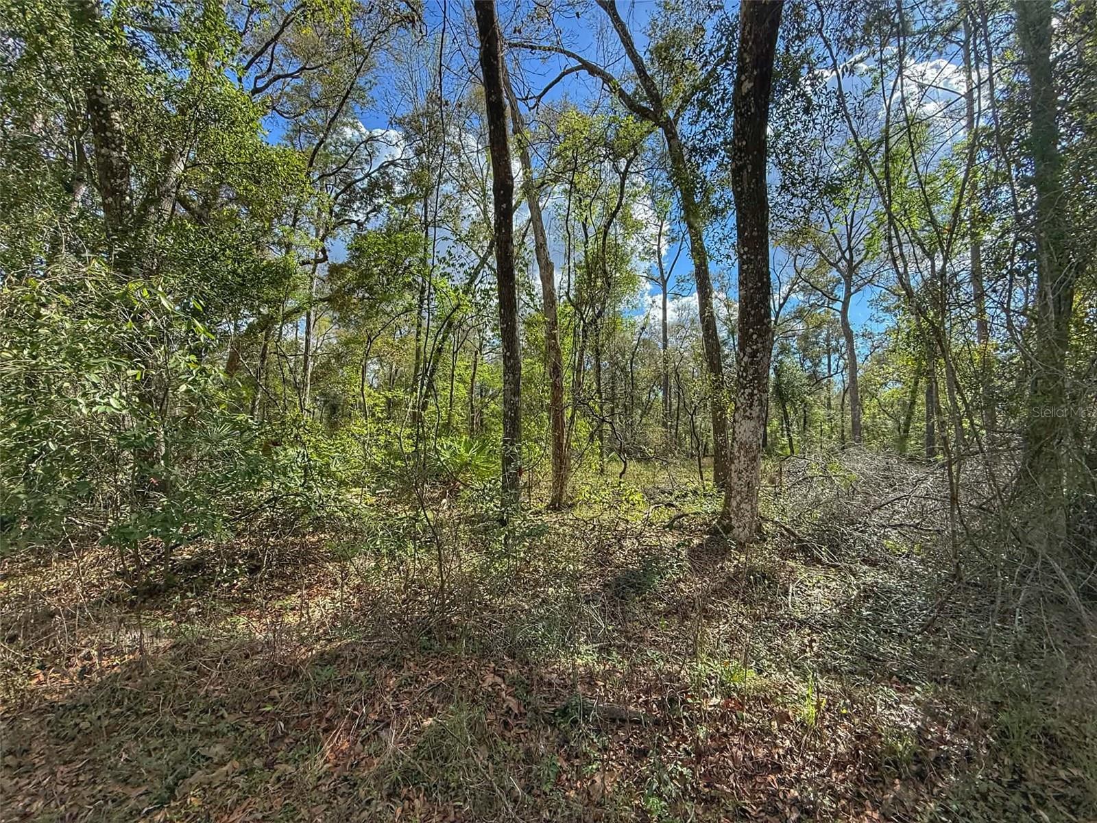 Image 2 of 4 For Tbd 14th Place