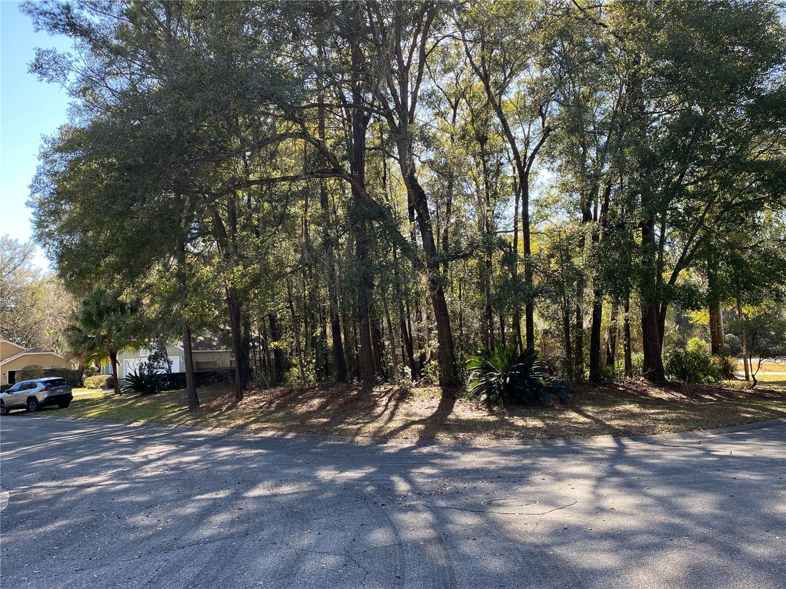 Details for 12345 10th Place, NEWBERRY, FL 32669