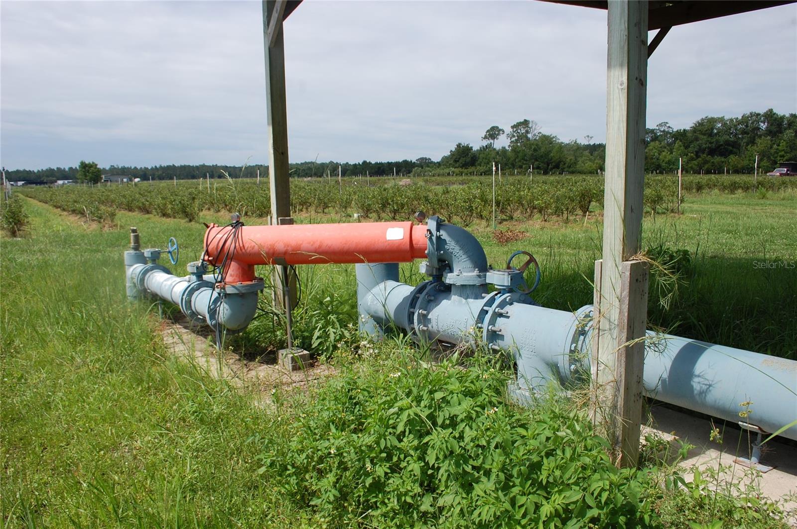 Image 11 of 91 For 18811 243rd Street