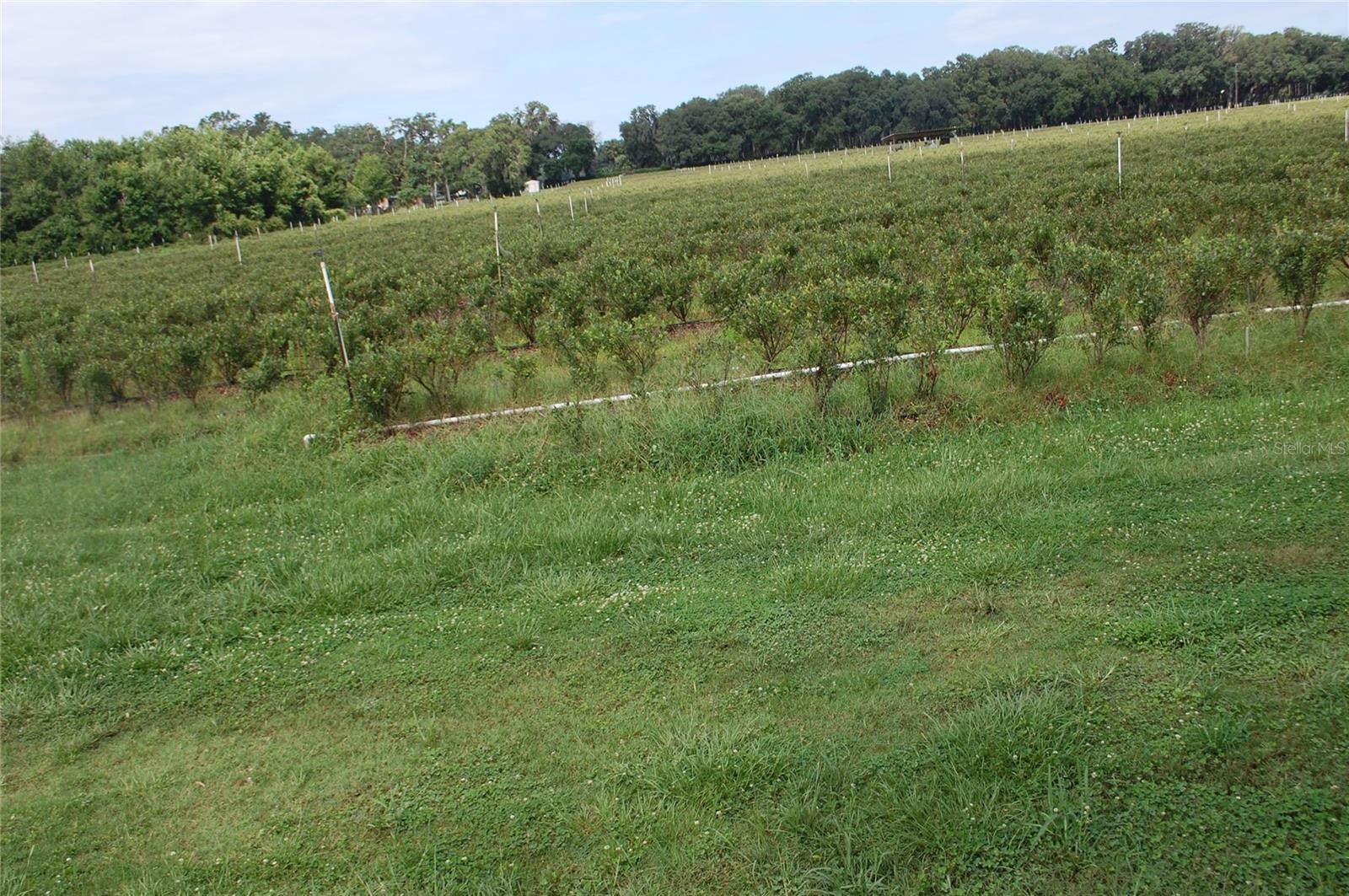 Image 14 of 91 For 18811 243rd Street