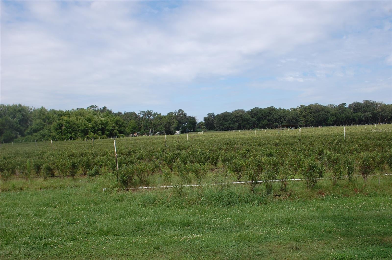 Image 15 of 91 For 18811 243rd Street