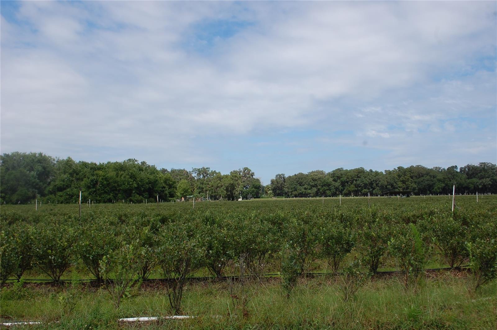 Image 16 of 91 For 18811 243rd Street