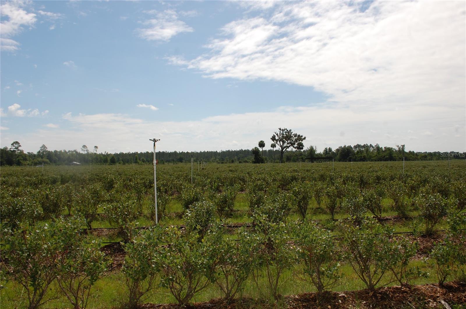 Image 17 of 91 For 18811 243rd Street