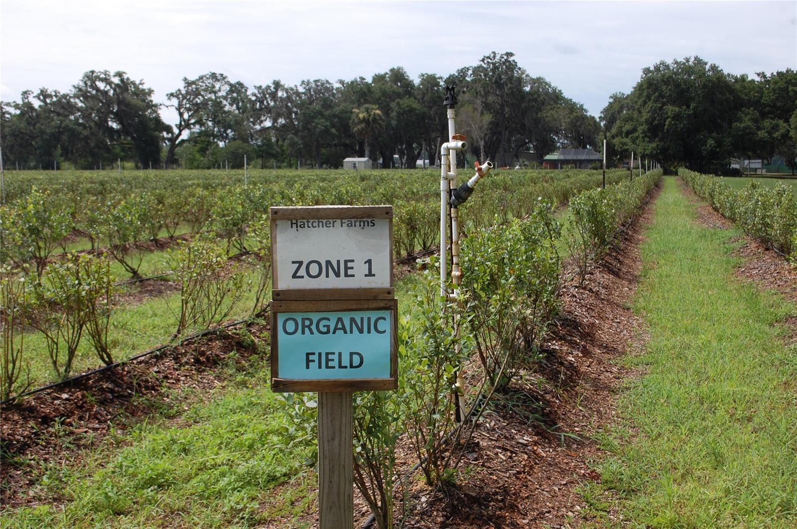 Image 19 of 91 For 18811 243rd Street