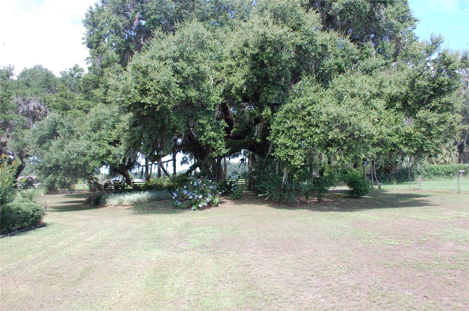 Image 2 of 91 For 18811 243rd Street