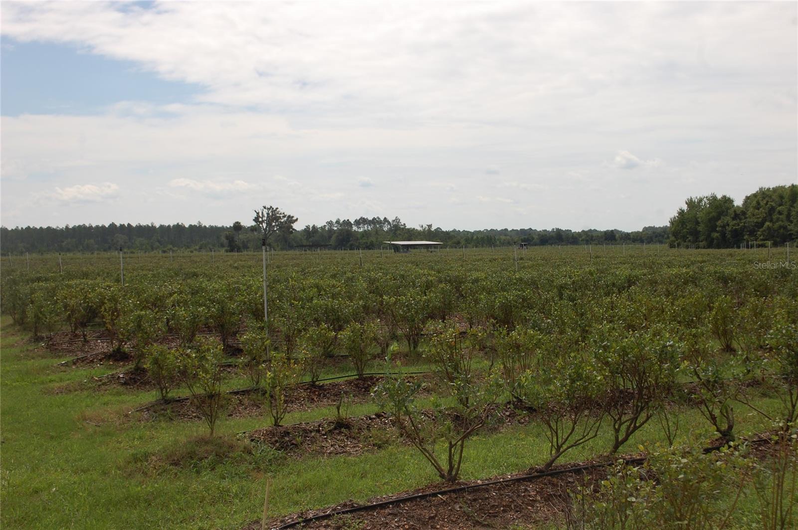 Image 20 of 91 For 18811 243rd Street