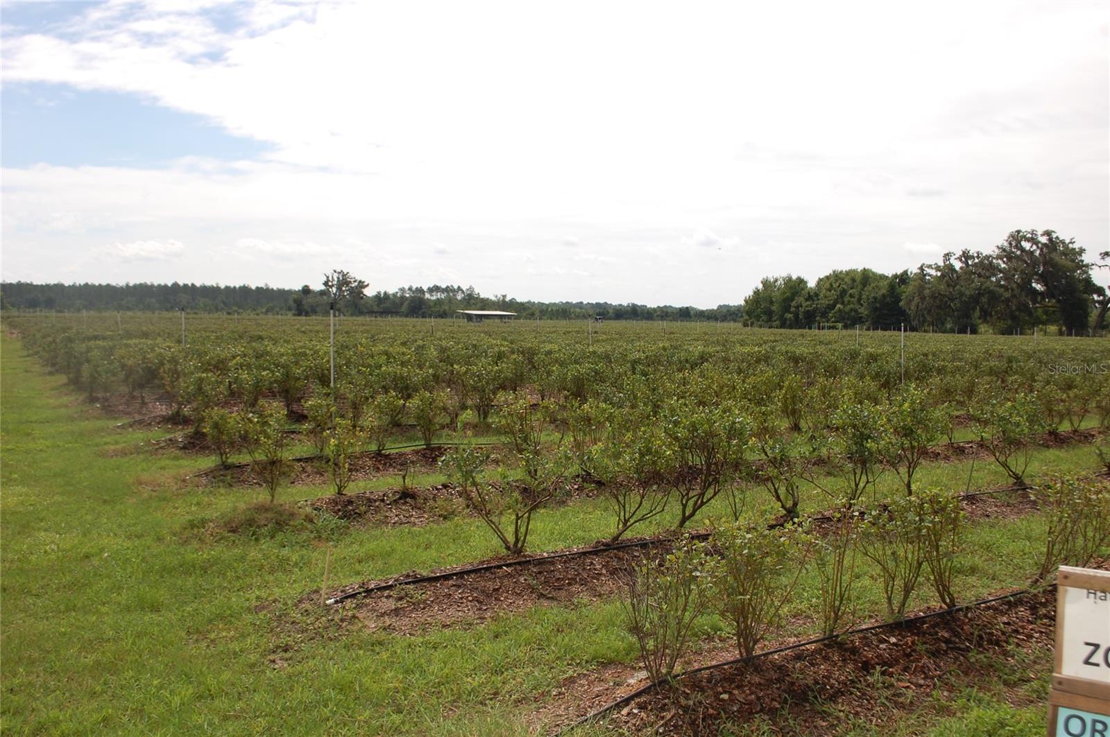 Image 21 of 91 For 18811 243rd Street