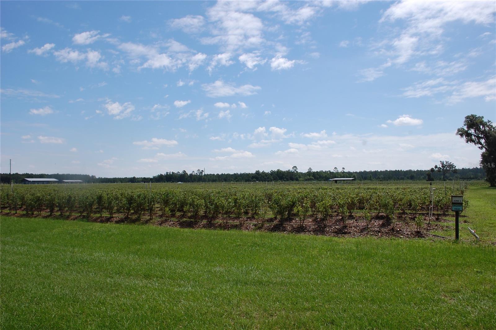 Image 22 of 91 For 18811 243rd Street