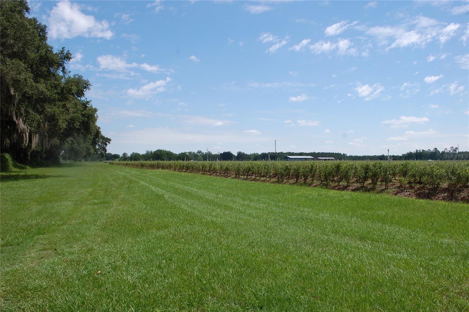 Image 23 of 91 For 18811 243rd Street