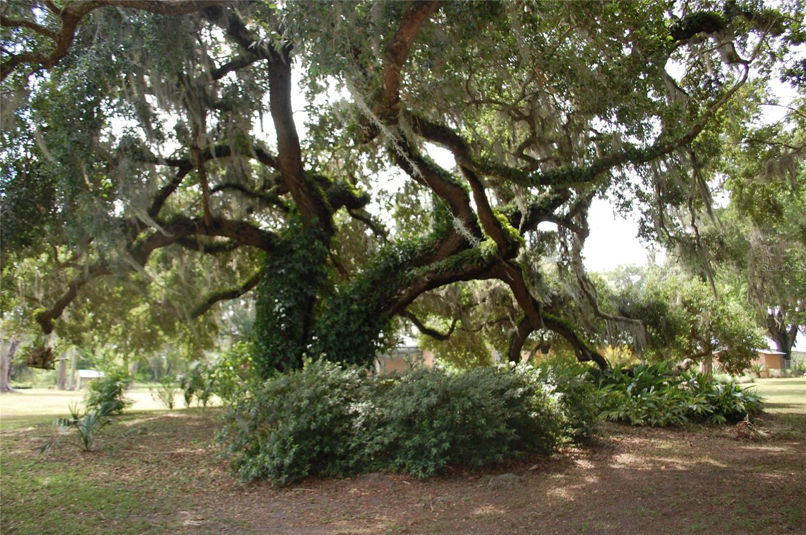 Image 25 of 91 For 18811 243rd Street