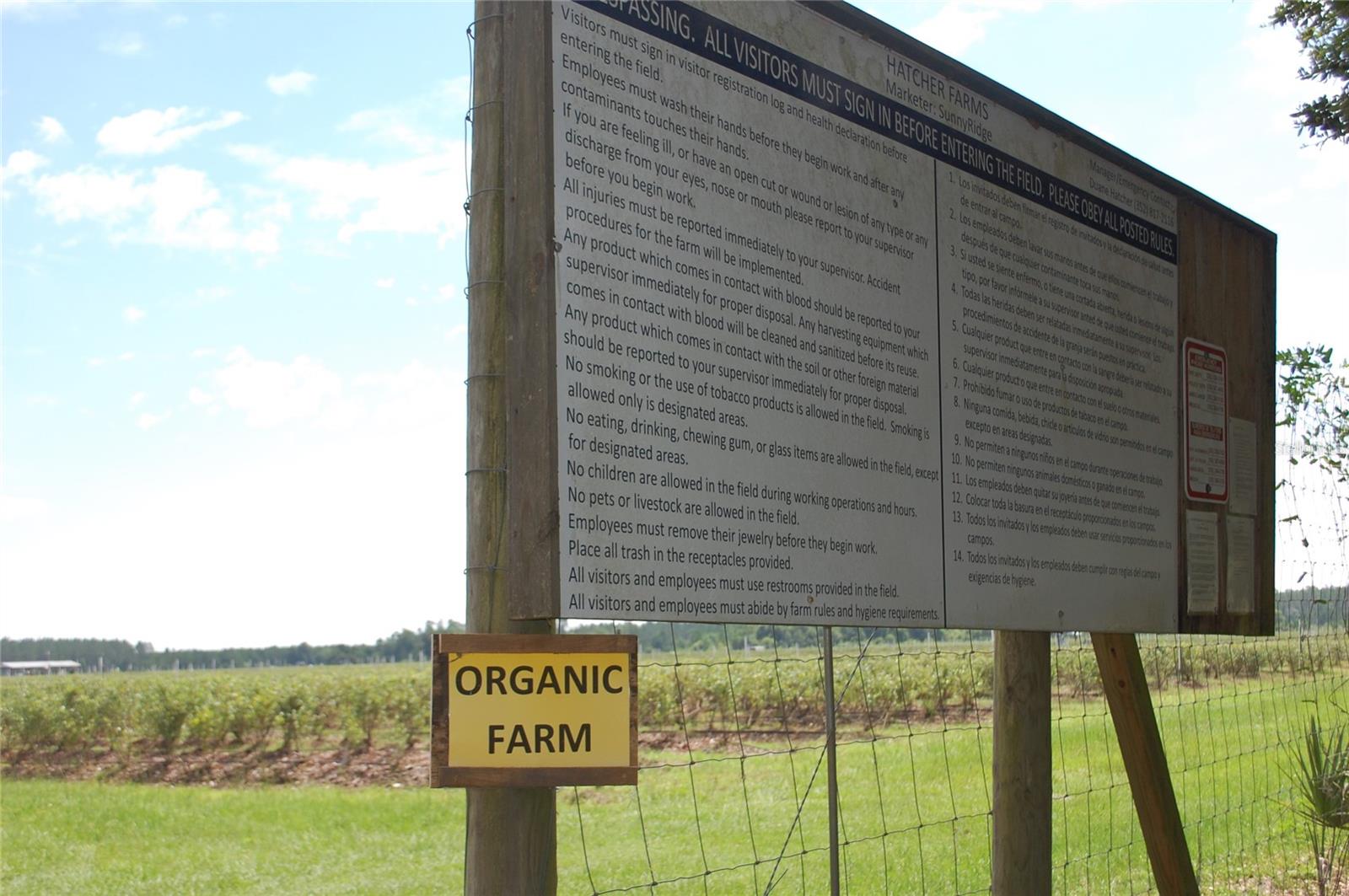 Image 26 of 91 For 18811 243rd Street