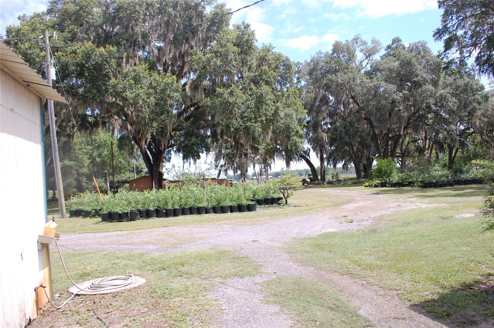 Image 33 of 91 For 18811 243rd Street