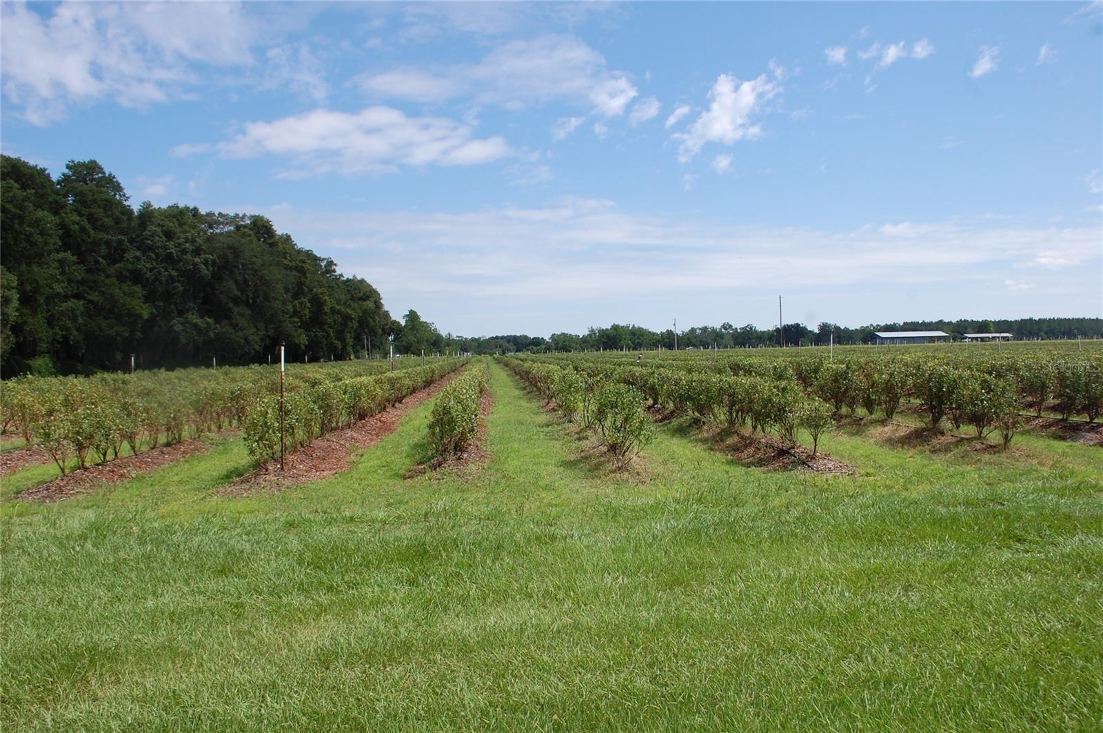 Image 4 of 91 For 18811 243rd Street