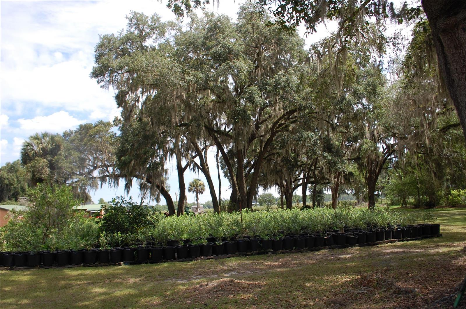 Image 48 of 91 For 18811 243rd Street