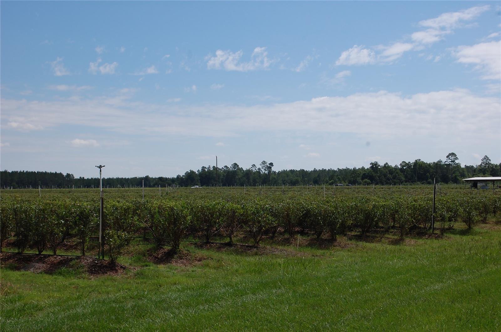 Image 5 of 91 For 18811 243rd Street