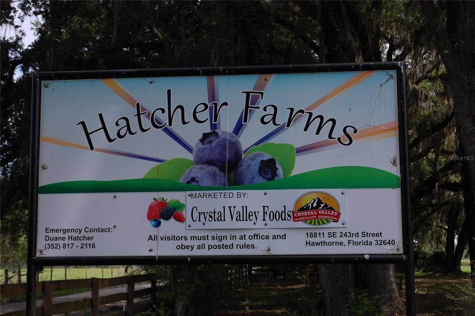 Image 50 of 91 For 18811 243rd Street