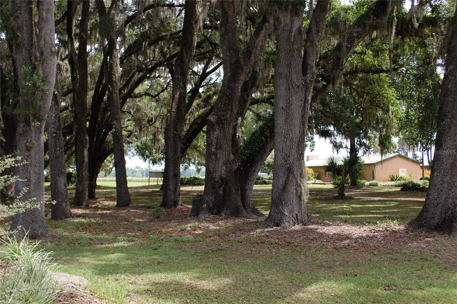 Image 51 of 91 For 18811 243rd Street