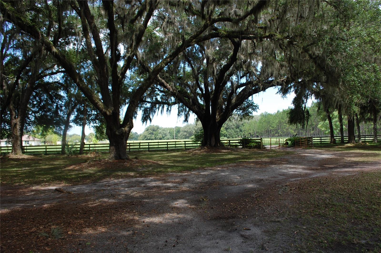 Image 53 of 91 For 18811 243rd Street