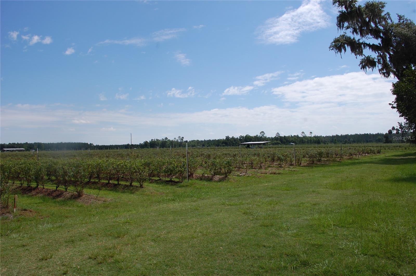 Image 6 of 91 For 18811 243rd Street