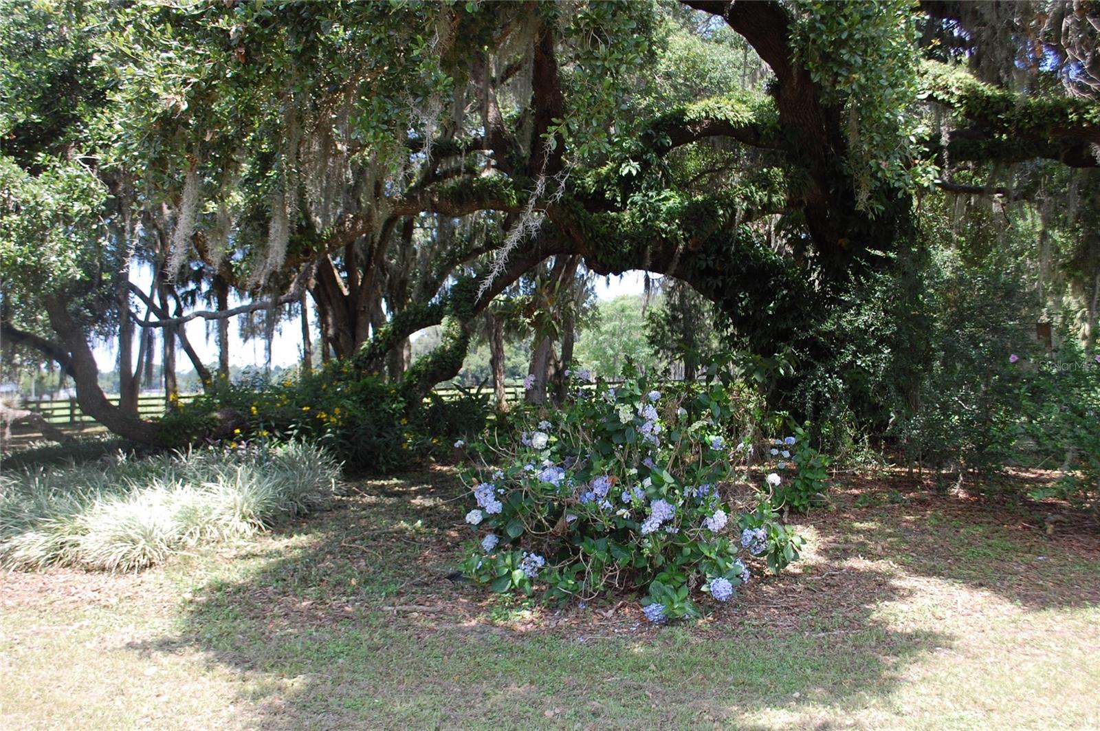 Image 68 of 91 For 18811 243rd Street